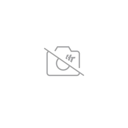 Heat shield leovince carbon - shield,
